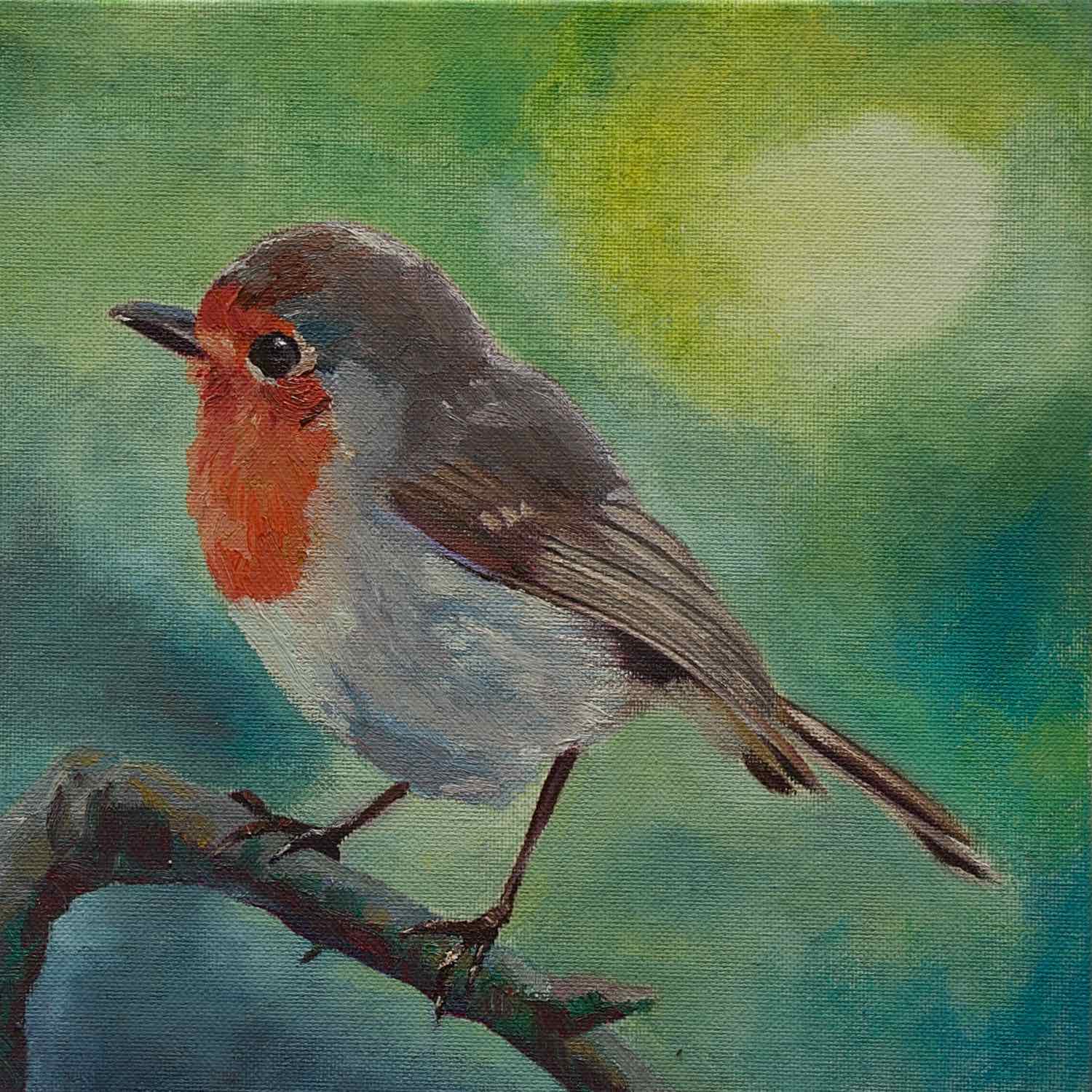 Painting bird Erithacus rubecula