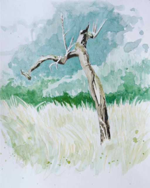 Painting pleinair Skeleton tree