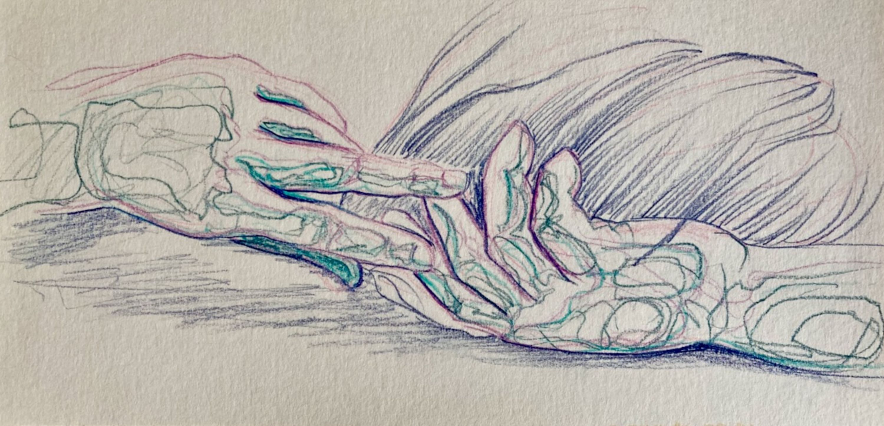 Kunst werk van da:njels: Touche - Kleurpotlood op papier - 27 x 13 cm - 2024